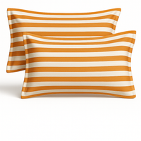 Pillow Covers Size 21 Inch x 28 Inch (Pack of 2) - Light Stripped Yellow