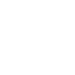Social Icon